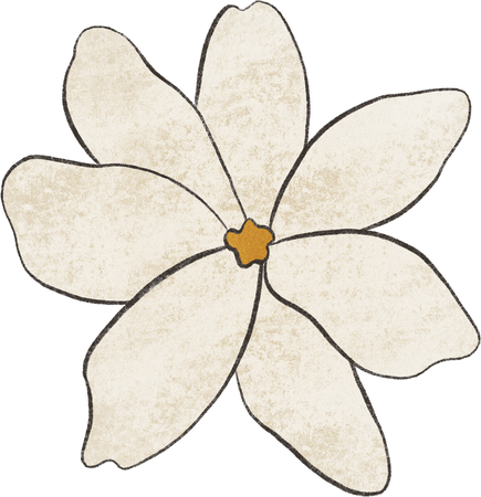 Indonesia Warm Storybook Flowers Melati