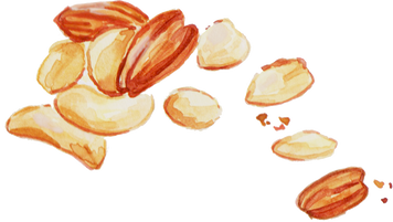 Handpainted Watercolor Mixed Nuts Christmas Snack
