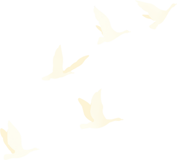 扁平节气白露插画-大雁