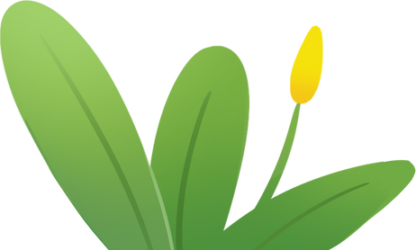 清明节出游完整插画-叶子